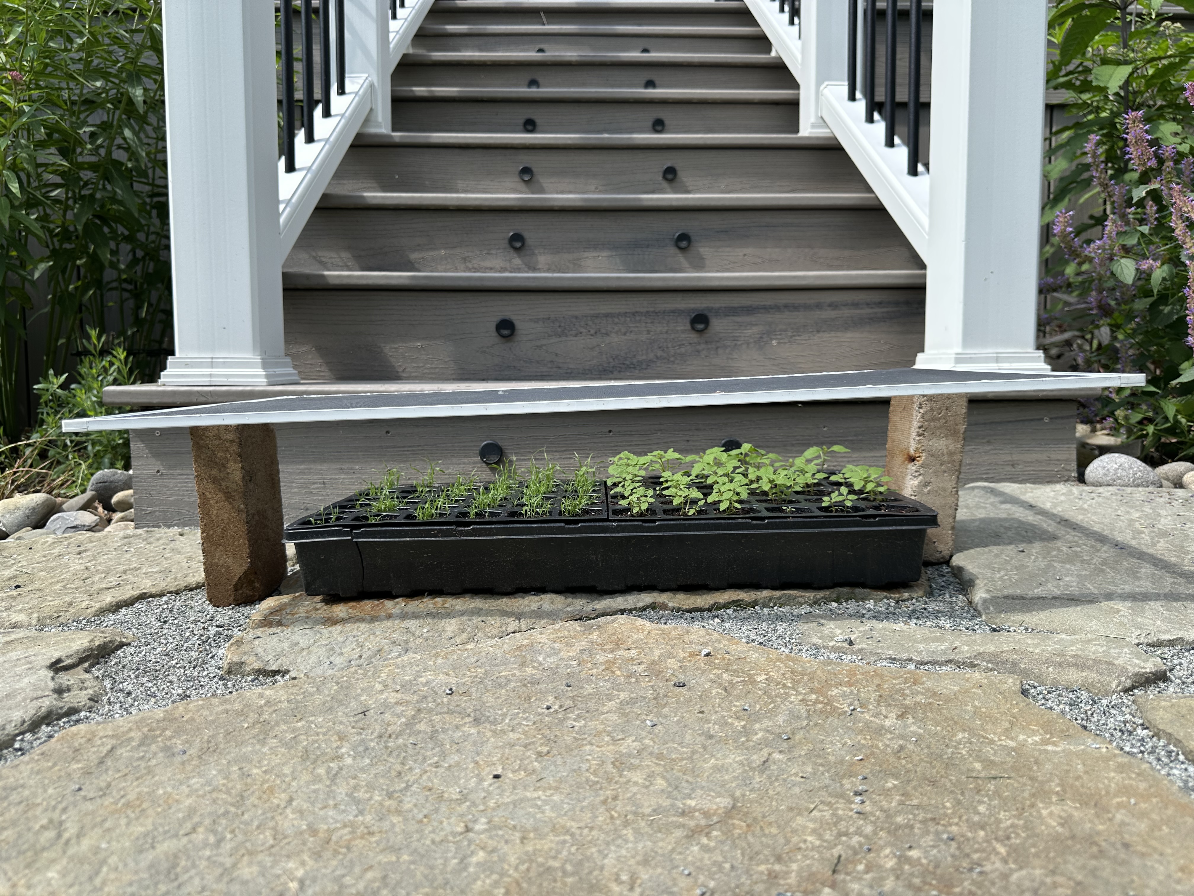 Elevated shade screen